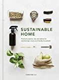 Sustainable Home: Practical Projects, tips and Advice for Maintaining a more eco-friendly Household (Volume 1)