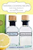 Natural Cleaning Recipes: Non-Toxic Products for the Eco-Friendly Home