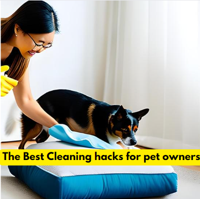 The Best Cleaning hacks for pet owners