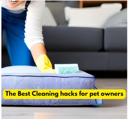 The Best Cleaning hacks for pet owners