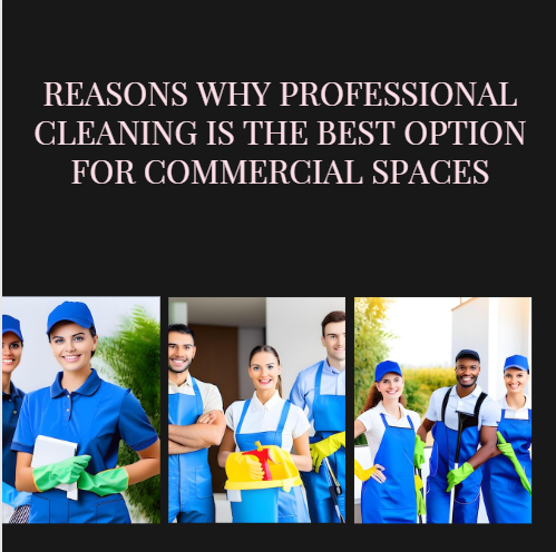 Reasons Why Professional Cleaning Is The Best Option For Commercial Spaces