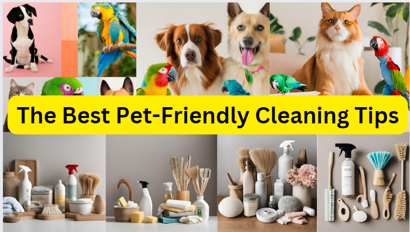The best pet-friendly cleaning tips