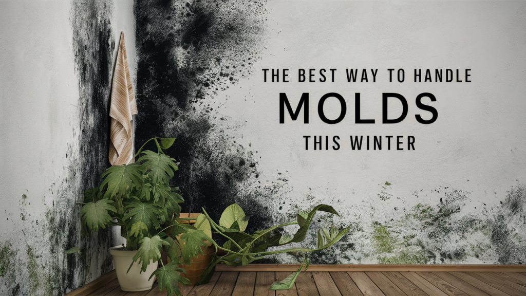 The Best Way To Handle Moulds This Winter