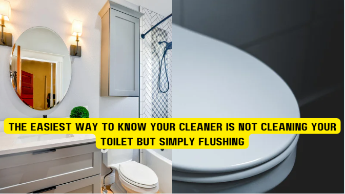 The Easiest Way to Know Your Cleaner is not Cleaning Your Toilet but simply flushing