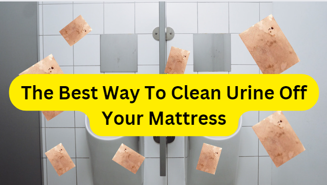 The Best Way To Clean Urine Off Your Mattress
